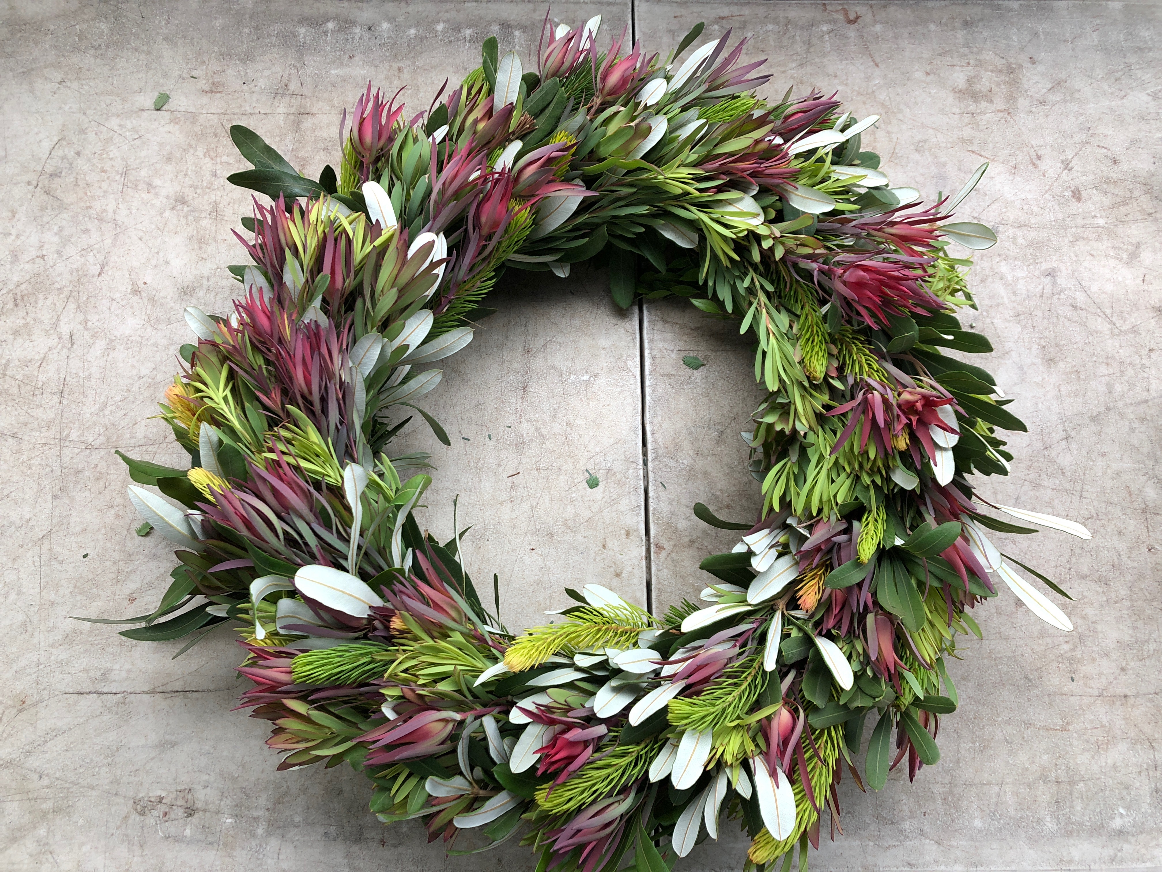 Native Foliage and Protea Blooms